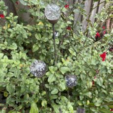 5061098721913 1 Cluster of 3 Garden Stake Ornaments Short Bubble.jpg